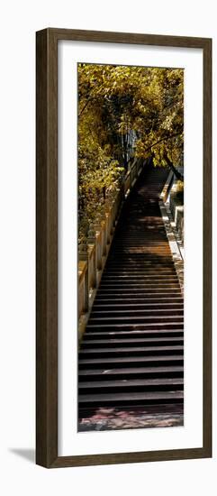 China 10MKm2 Collection - Stairway in the Forest-Philippe Hugonnard-Framed Photographic Print