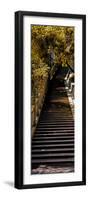 China 10MKm2 Collection - Stairway in the Forest-Philippe Hugonnard-Framed Photographic Print