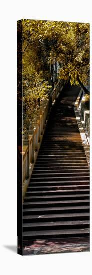 China 10MKm2 Collection - Stairway in the Forest-Philippe Hugonnard-Stretched Canvas