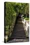 China 10MKm2 Collection - Stairway in the Forest-Philippe Hugonnard-Stretched Canvas