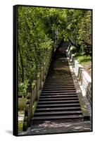 China 10MKm2 Collection - Stairway in the Forest-Philippe Hugonnard-Framed Stretched Canvas