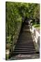 China 10MKm2 Collection - Stairway in the Forest-Philippe Hugonnard-Stretched Canvas