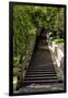 China 10MKm2 Collection - Stairway in the Forest-Philippe Hugonnard-Framed Photographic Print