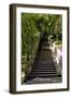 China 10MKm2 Collection - Stairway in the Forest-Philippe Hugonnard-Framed Photographic Print