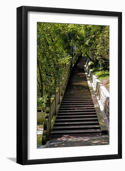 China 10MKm2 Collection - Stairway in the Forest-Philippe Hugonnard-Framed Photographic Print