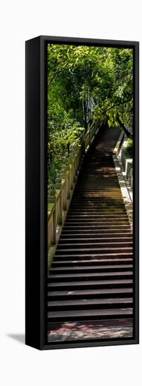 China 10MKm2 Collection - Stairway in the Forest-Philippe Hugonnard-Framed Stretched Canvas