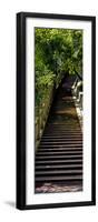 China 10MKm2 Collection - Stairway in the Forest-Philippe Hugonnard-Framed Photographic Print