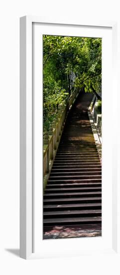 China 10MKm2 Collection - Stairway in the Forest-Philippe Hugonnard-Framed Photographic Print