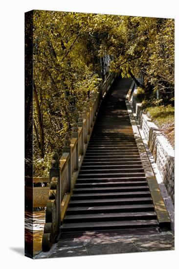 China 10MKm2 Collection - Stairway in the Forest-Philippe Hugonnard-Stretched Canvas