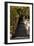 China 10MKm2 Collection - Stairway in the Forest-Philippe Hugonnard-Framed Photographic Print