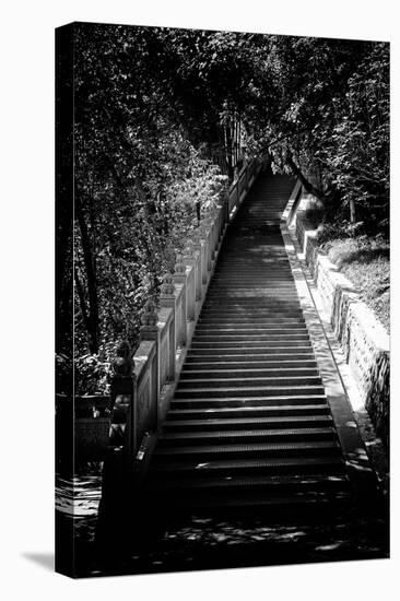 China 10MKm2 Collection - Stairway in the Forest-Philippe Hugonnard-Stretched Canvas