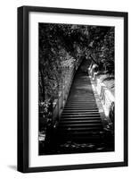 China 10MKm2 Collection - Stairway in the Forest-Philippe Hugonnard-Framed Photographic Print