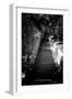 China 10MKm2 Collection - Stairway in the Forest-Philippe Hugonnard-Framed Photographic Print