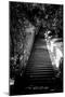 China 10MKm2 Collection - Stairway in the Forest-Philippe Hugonnard-Mounted Photographic Print