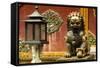 China 10MKm2 Collection - Statue of Imperial Palace of Forbidden City-Philippe Hugonnard-Framed Stretched Canvas