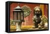 China 10MKm2 Collection - Statue of Imperial Palace of Forbidden City-Philippe Hugonnard-Framed Stretched Canvas