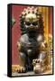 China 10MKm2 Collection - Statue of Imperial Palace of Forbidden City-Philippe Hugonnard-Framed Stretched Canvas