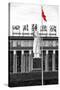 China 10MKm2 Collection - Statue of Mao Zedong in front of the museum-Philippe Hugonnard-Stretched Canvas