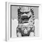 China 10MKm2 Collection - Stone Lion Statue-Philippe Hugonnard-Framed Photographic Print