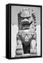 China 10MKm2 Collection - Stone Lion Statue-Philippe Hugonnard-Framed Stretched Canvas