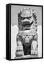 China 10MKm2 Collection - Stone Lion Statue-Philippe Hugonnard-Framed Stretched Canvas