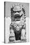 China 10MKm2 Collection - Stone Lion Statue-Philippe Hugonnard-Stretched Canvas