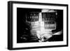 China 10MKm2 Collection - Street Signs-Philippe Hugonnard-Framed Photographic Print