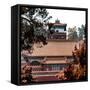 China 10MKm2 Collection - Summer Palace Architecture in Autumne-Philippe Hugonnard-Framed Stretched Canvas