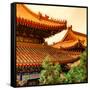 China 10MKm2 Collection - Summer Palace Architecture-Philippe Hugonnard-Framed Stretched Canvas