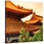 China 10MKm2 Collection - Summer Palace Architecture-Philippe Hugonnard-Stretched Canvas