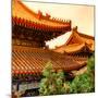 China 10MKm2 Collection - Summer Palace Architecture-Philippe Hugonnard-Mounted Photographic Print