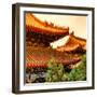 China 10MKm2 Collection - Summer Palace Architecture-Philippe Hugonnard-Framed Photographic Print