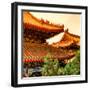 China 10MKm2 Collection - Summer Palace Architecture-Philippe Hugonnard-Framed Photographic Print