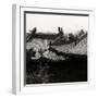 China 10MKm2 Collection - Summer Palace Architecture-Philippe Hugonnard-Framed Photographic Print