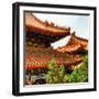 China 10MKm2 Collection - Summer Palace Architecture-Philippe Hugonnard-Framed Photographic Print