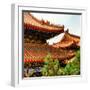 China 10MKm2 Collection - Summer Palace Architecture-Philippe Hugonnard-Framed Photographic Print