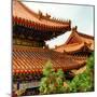 China 10MKm2 Collection - Summer Palace Architecture-Philippe Hugonnard-Mounted Photographic Print