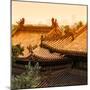 China 10MKm2 Collection - Summer Palace Architecture-Philippe Hugonnard-Mounted Photographic Print