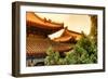 China 10MKm2 Collection - Summer Palace Architecture-Philippe Hugonnard-Framed Photographic Print