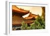 China 10MKm2 Collection - Summer Palace Architecture-Philippe Hugonnard-Framed Photographic Print