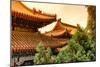 China 10MKm2 Collection - Summer Palace Architecture-Philippe Hugonnard-Mounted Photographic Print