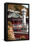 China 10MKm2 Collection - Summer Palace Architecture-Philippe Hugonnard-Framed Stretched Canvas