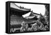 China 10MKm2 Collection - Summer Palace Architecture-Philippe Hugonnard-Framed Stretched Canvas