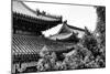 China 10MKm2 Collection - Summer Palace Architecture-Philippe Hugonnard-Mounted Photographic Print