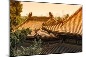 China 10MKm2 Collection - Summer Palace Architecture-Philippe Hugonnard-Mounted Photographic Print