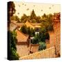 China 10MKm2 Collection - Summer Palace Architecture-Philippe Hugonnard-Stretched Canvas