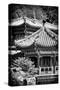 China 10MKm2 Collection - Summer Palace Architecture-Philippe Hugonnard-Stretched Canvas