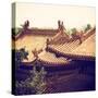 China 10MKm2 Collection - Summer Palace Architecture-Philippe Hugonnard-Stretched Canvas