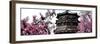 China 10MKm2 Collection - Summer Palace Temple-Philippe Hugonnard-Framed Photographic Print