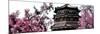China 10MKm2 Collection - Summer Palace Temple-Philippe Hugonnard-Mounted Photographic Print